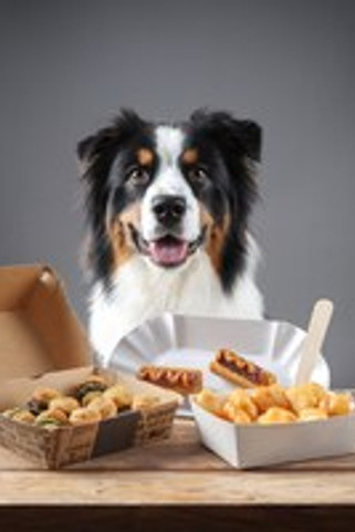 Flamingo f-523082 - Friandises Boîte à emporter