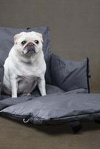 Flamingo f-523062 - Coussin de Voyage Sécurisé pour Animaux Bobba Staand