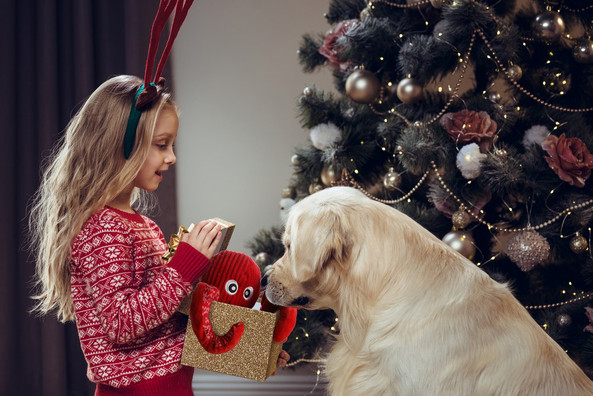 Flamingo f-523236 - Festive Canine Octopus Toy with Squeaker & Crinkle