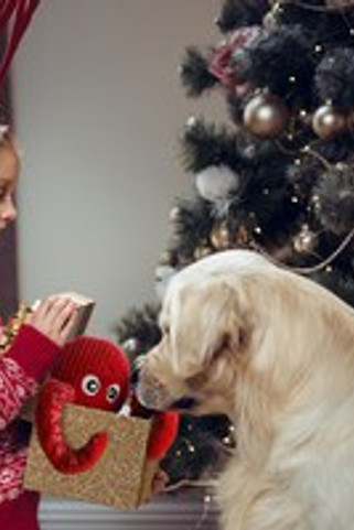 Flamingo f-523236 - Jouet Octopus Festif pour Chiens