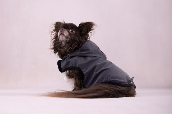 Flamingo f-523174 - Reflective Splash-Proof Dog Jacket with Hood
