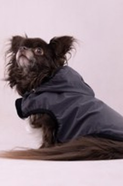 Flamingo f-523174 - Veste Réfléchissante pour Chiens Luza