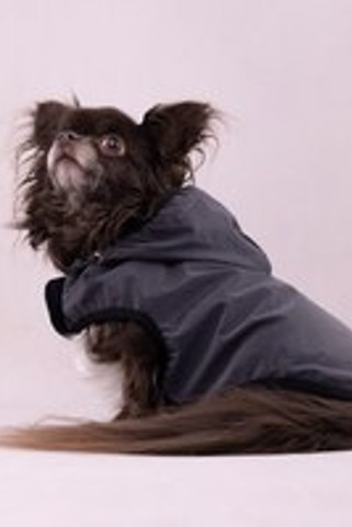 Flamingo f-523174 - Veste Réfléchissante pour Chiens Luza