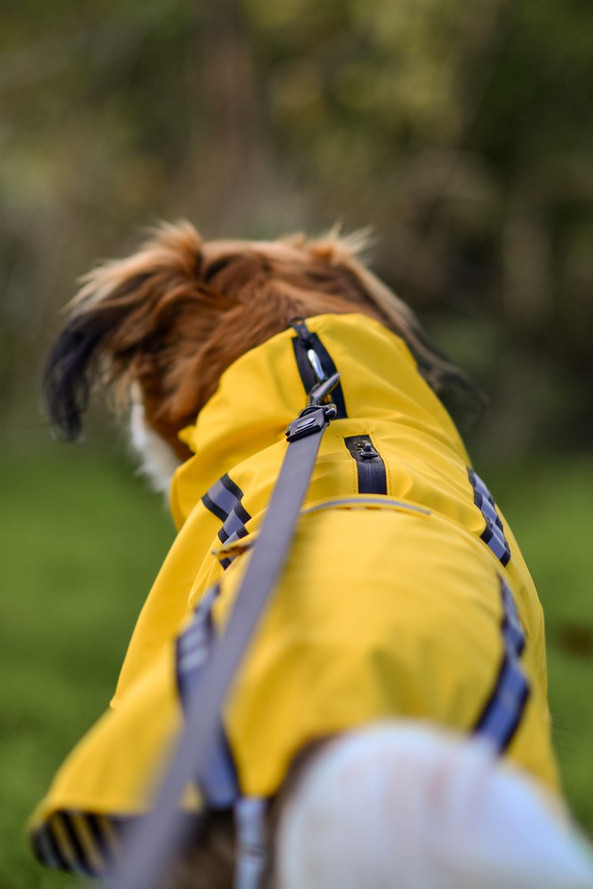 Flamingo f-523194 - Ciro Pooch Protector Rain Coat with Reflective Stripes