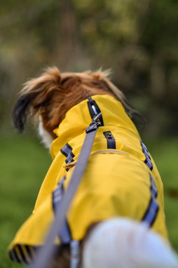 Flamingo f-523194 - Manteau de Pluie Sécurisé pour Chiens Ciro
