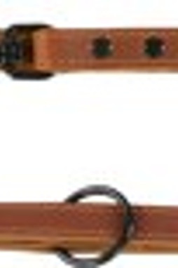 Flamingo f-523294 - Laisse dentraînement Cognac