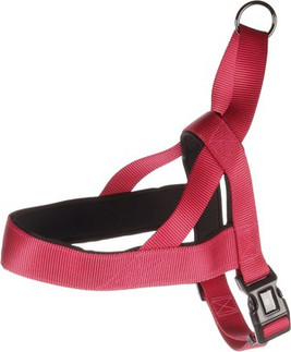 Flamingo f-523358 - Harnais Noors cérise