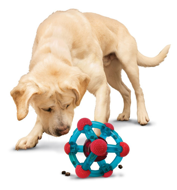 Kong® f-523415 - Kong® Interactive Treat Puzzle Cube for Dogs
