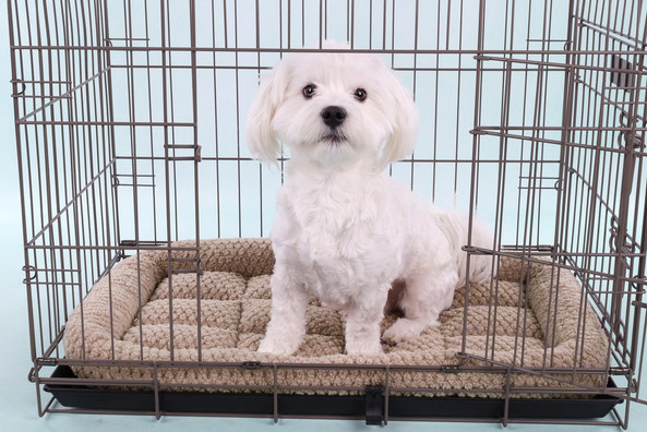 Flamingo f-523469 - Ultra-Soft Taupe Dog Cushion for Wire Cages