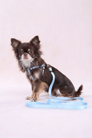 Flamingo f-523517 - Harnais Confort Ajustable Noekie