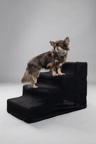 Flamingo f-523532 - Accès Confortable pour Chiens Tampa