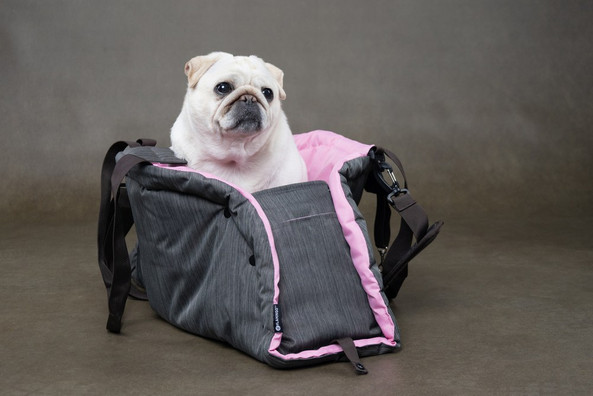 Flamingo f-523614 - Cozy Canine Carrier and Blanket Combo