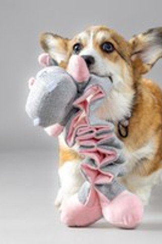 Flamingo f-523704 - Jouet Chiot Hippopotame