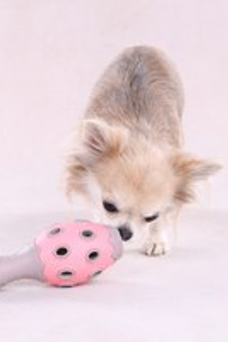 Flamingo f-523706 - Puppy Playtime Treat-Filled Chew Toy