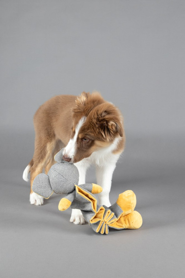Flamingo f-523703 - Ochre Yellow Puppy Playtime Mouse Toy