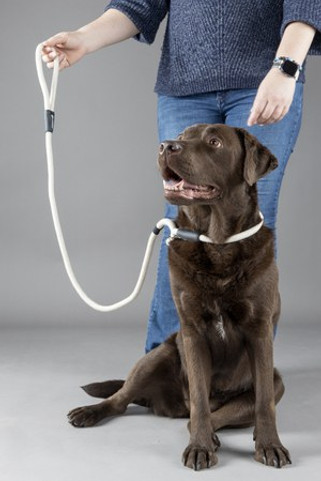 Flamingo f-523774 - Laisse anti-traction