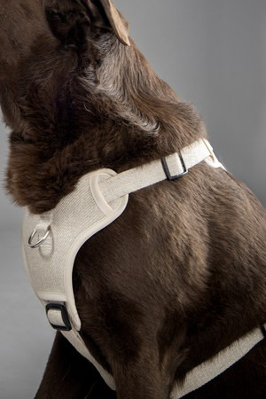 Flamingo f-523775 - Harnais Confortable en Lin pour Chiens