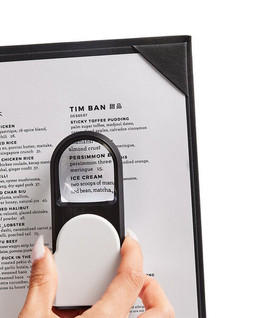 Prime Line FL253 - Magnifier With Light