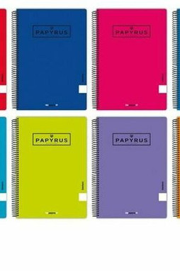 Papyrus S8422304 - Notizbuch 01-UNICLASIC Viertel 80 Blatt (5 Stück)