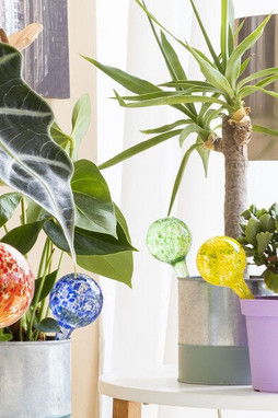InnovaGoods V0103627 - Ballons arrosage automatique Ballwooters 4 Unités