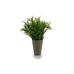 Ibergarden S3602946 - Pot Vert Plastique 13 x 25 x 13 cm