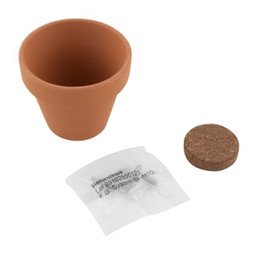 Claps 79092 - Vaso in Terracotta con Semi di Basilico