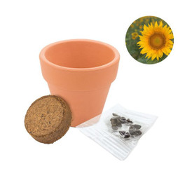 Claps 79126 - Vaso In Terracotta Con Semi E Terriccio