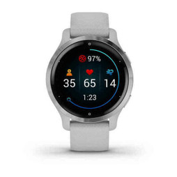 GARMIN S0800243 - Smartwatch 010-02429-12 1,1" Grey Silver 40 mm