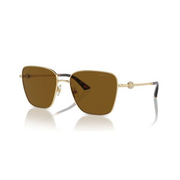 Jimmy Choo S72105408 - Ladies Sunglasses JC 4005HB