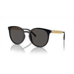 Dolce & Gabbana S72104988 - Ladies Sunglasses DG 6189U