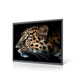 Maxhub S5624518 - Videowall Monitor C7530 4K Ultra HD 75"