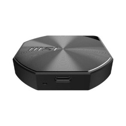MSI M0325206 - Externe Festplatte DATAMAG Schwarz 1 TB SSD