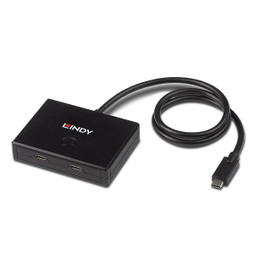 LINDY S7717137 - Adaptateur USB 43329