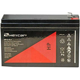 Riello S55160845 - Batterie für Unterbrechungsfreies Stromversorgungssystem USV BAT 12-6.5