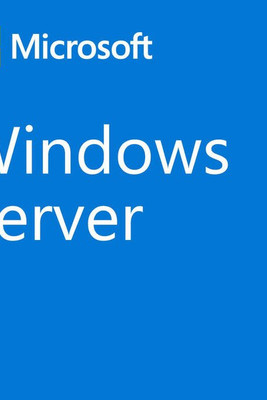 Microsoft S0233113 - GPS map and software Windows Server CAL 2022