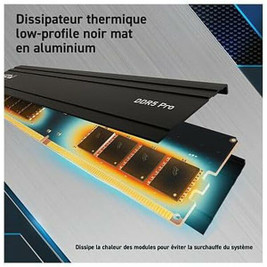Crucial S0242003 - RAM Memory CP24G56C46U5 24 GB DDR5 5600 MHz