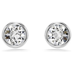 Swarovski S72101314 - Ladies Earrings 5696073 Silver