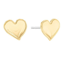 Calvin Klein S72105148 - Ladies Earrings 35000302 Sterling silver 925 Golden