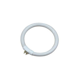 EDM Product S7921000 - Tube fluorescent EDM 00301 30287 Blanc 12 W T4 Rechange Circulaire (6500 K)