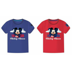 Mickey Mouse S2437231 - Figur