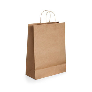 Paper kraft bag (115 g/m²) - Egotier 92877