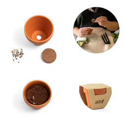 hi!dea 96127 - Clay pot with dill