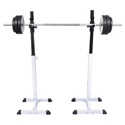 vidaXL 90363 - Support barres haltères longs musculation