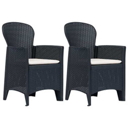 vidaXL 45599 - Garden Chairs 2 pcs with Cushion Plastic Rattan Look