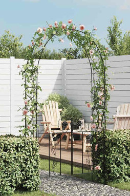 vidaXL 40784 - Arche de jardin