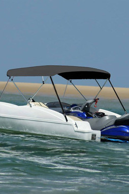 vidaXL 93142 - Auvent bimini à 4 arceaux 243x(230-244)x137 cm
