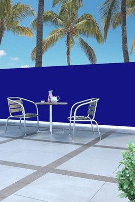 vidaXL 45462 - Auvent latéral rétractable 160 x 500 cm