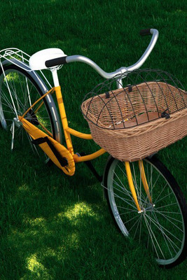 vidaXL 170902 - Bike Front Basket with Cover 50x45x35 cm Natural Willow