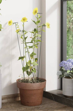 vidaXL 319362 - Garden Plant Stakes 20 pcs Dark Green 40 cm Steel