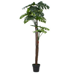 vidaXL 245945 - Plante artificielle avec pot Monstera 170 cm